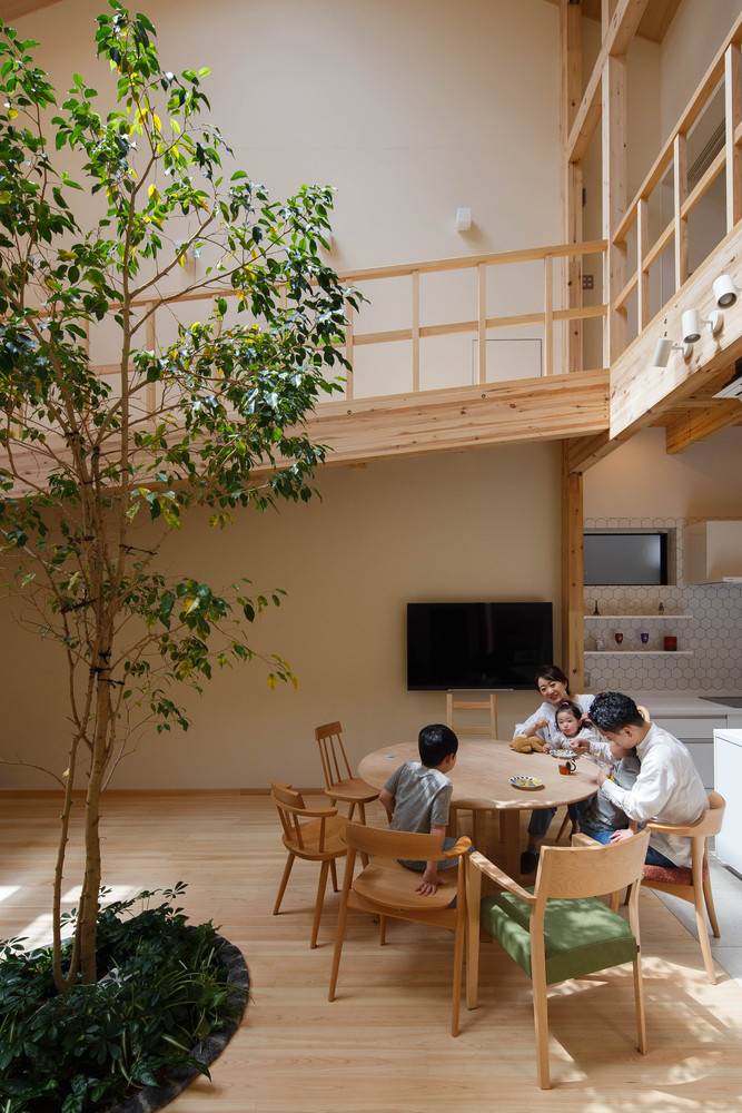 Thiết kế bố trí cây xanh trong nhà